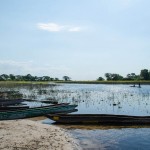The peaceful mokoro station of the village