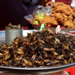 Ladina tried these grilled crickets, and even kind of liked them!