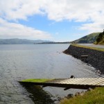 The scenic road on Otago Peninsula follows the seashore